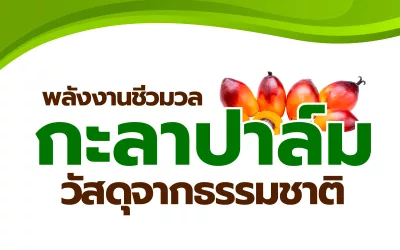 กะลาปาล์ม (Palm kernel shells)