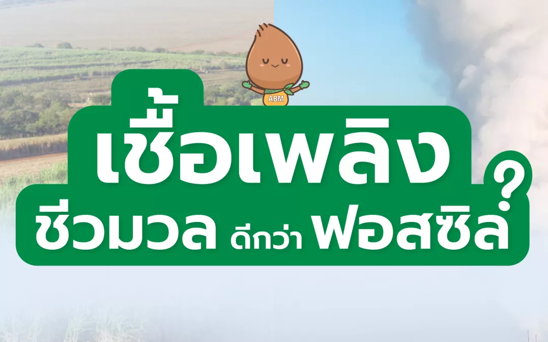 เชื้อเพลิง ชีวมวล ดีกว่า ฟอสซิล ?